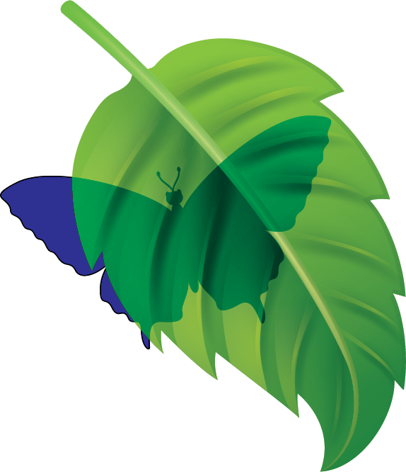 The Geo Transparency Project Logo, a blue butterfly behind a green leaf